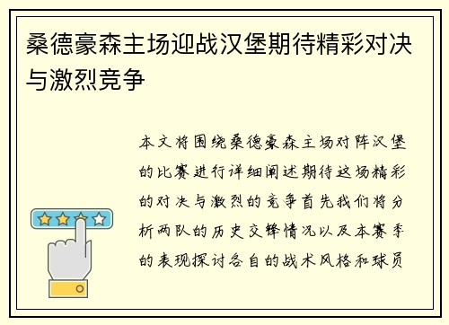 桑德豪森主场迎战汉堡期待精彩对决与激烈竞争